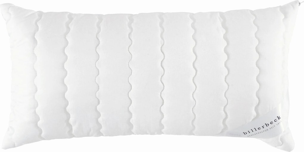 XXXLutz VANKÚŠ POD HLAVU, 40/80 cm Billerbeck - Prikrývky & vankúše - 003279011201