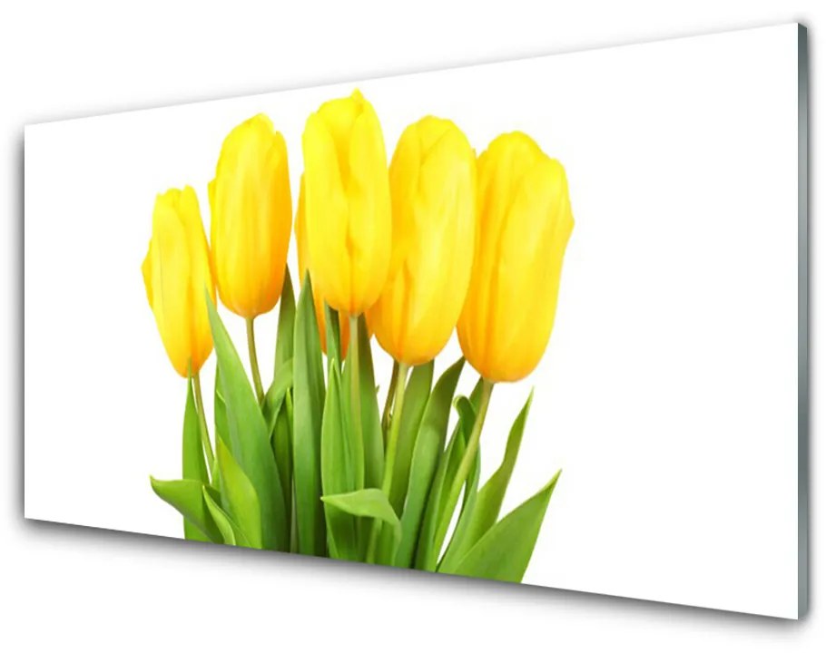 Obraz plexi Tulipány kvety rastlina 120x60 cm