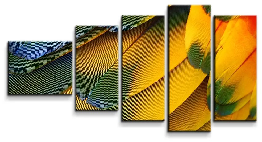 Sablio Obraz - 5-dílný Farebné perie - 100x60 cm