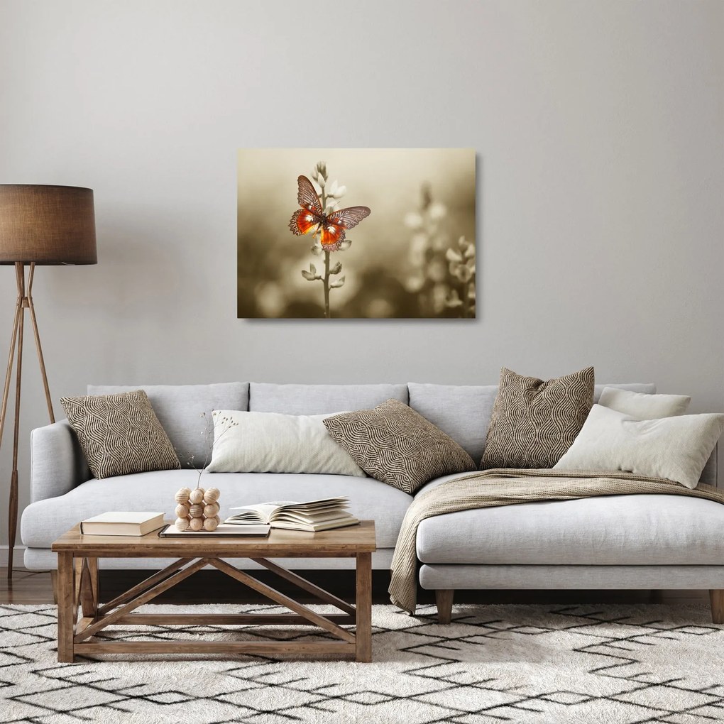 Sklenený obraz motýľa (70x50 cm)