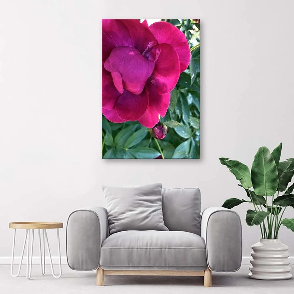 Gario Obraz na plátne Veľký ružový kvet Rozmery: 40 x 60 cm