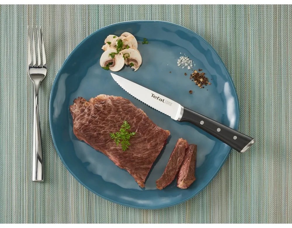 Súprava nožov na steak z nerezovej ocele 4 ks Ice Force – Tefal