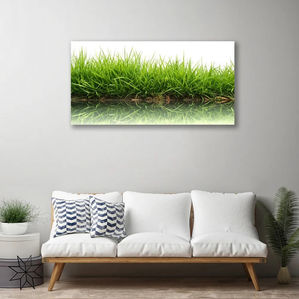 Obraz na plátne Tráva voda príroda rastlina 120x60 cm