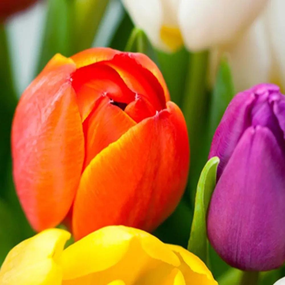 Ozdobný paraván Barevné květy tulipánů - 145x170 cm, štvordielny, obojstranný paraván 360°
