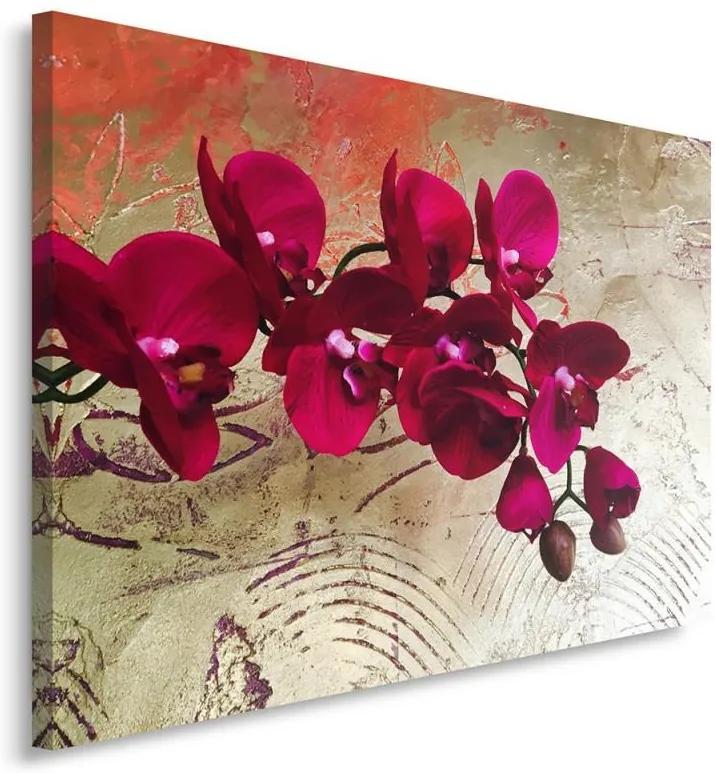 CARO Obraz na plátne - Orchids 10 40x30 cm