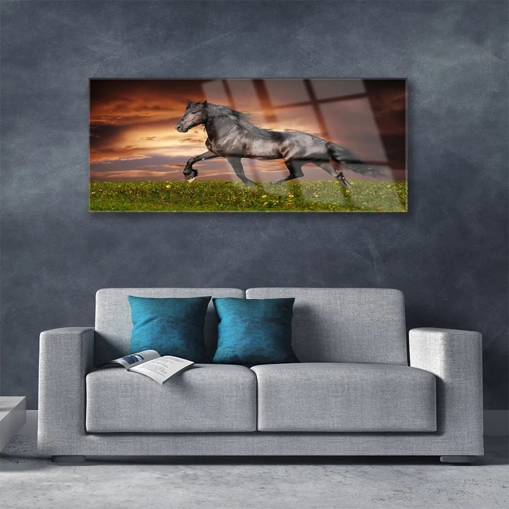 Obraz na akrylátovom skle Čierny kôň lúka zvieratá 125x50 cm