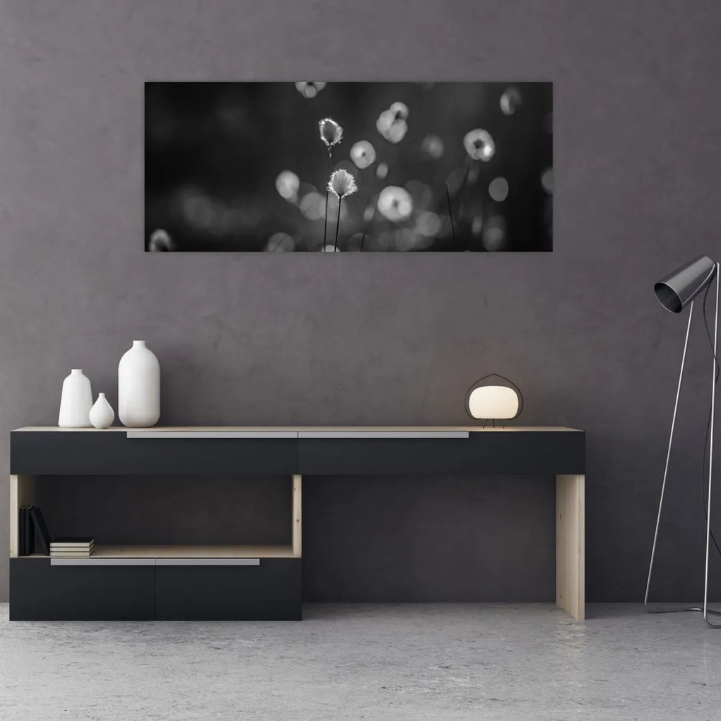Obraz - Cottongrass na lúke (120x50 cm)