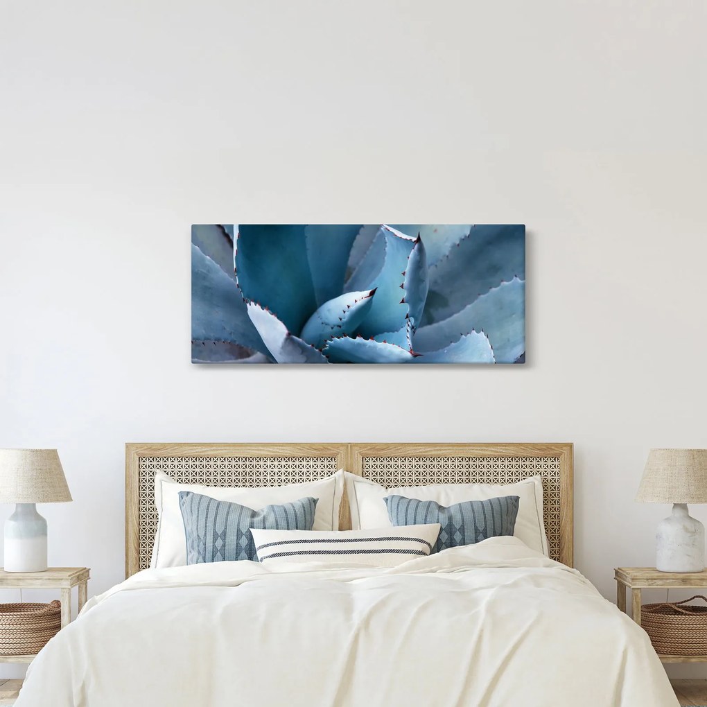 Obraz - Agáve (120x50 cm)