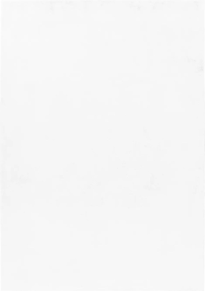 Ayyildiz, AKCIA: 160x230 cm Kusový koberec Pouffy 5100 White, biela, obývacia izba