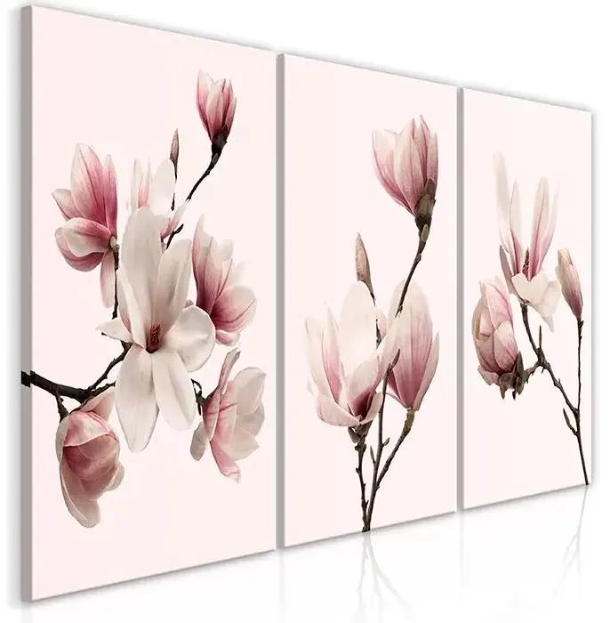 Obraz - Spring Magnolias (3 Parts) Veľkosť: 60x30, Verzia: Na talianskom plátne