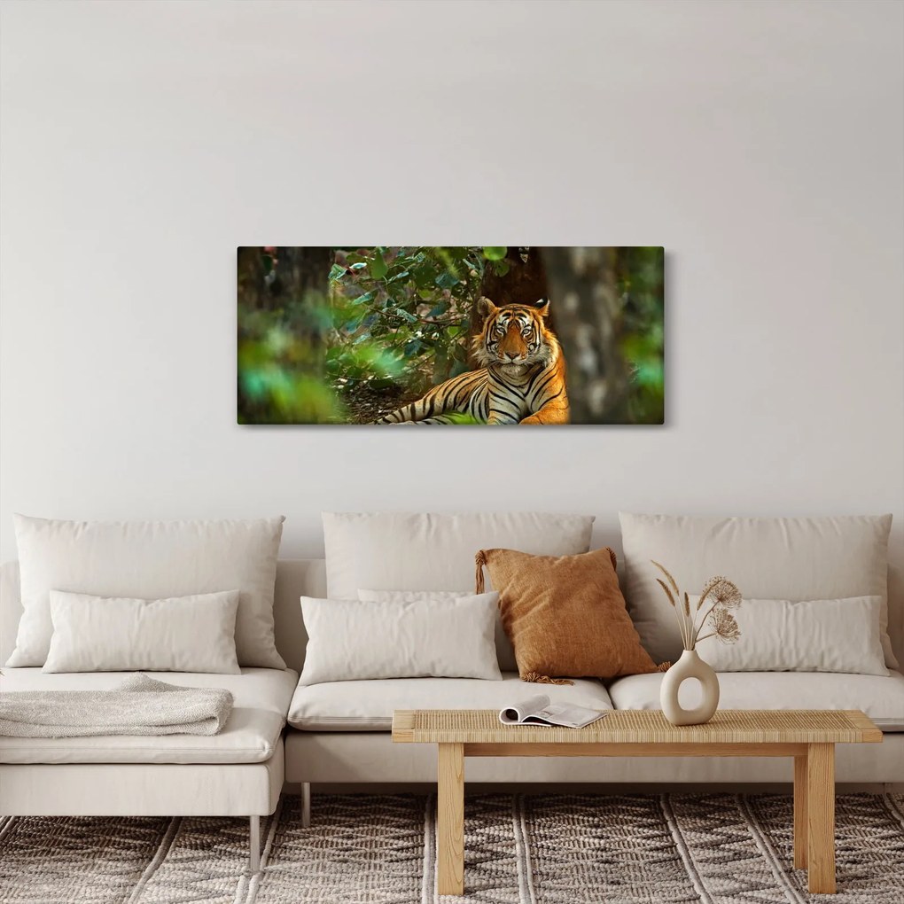 Obraz odpočívajúceho tigra (120x50 cm)