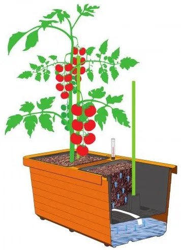 Samozavlažovací truhlík Berberis DUO, terakota, Plastia, 78 cm