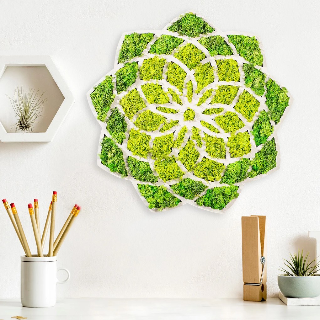 Nástenná MDF dekorácia Sedmokráska zelená