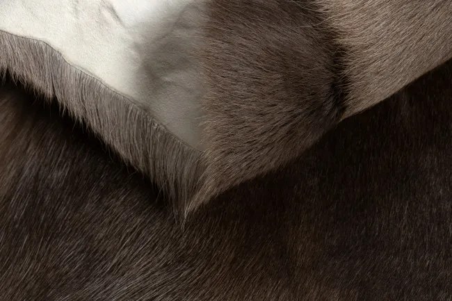 Koberec RENIFER POK010 hnedý