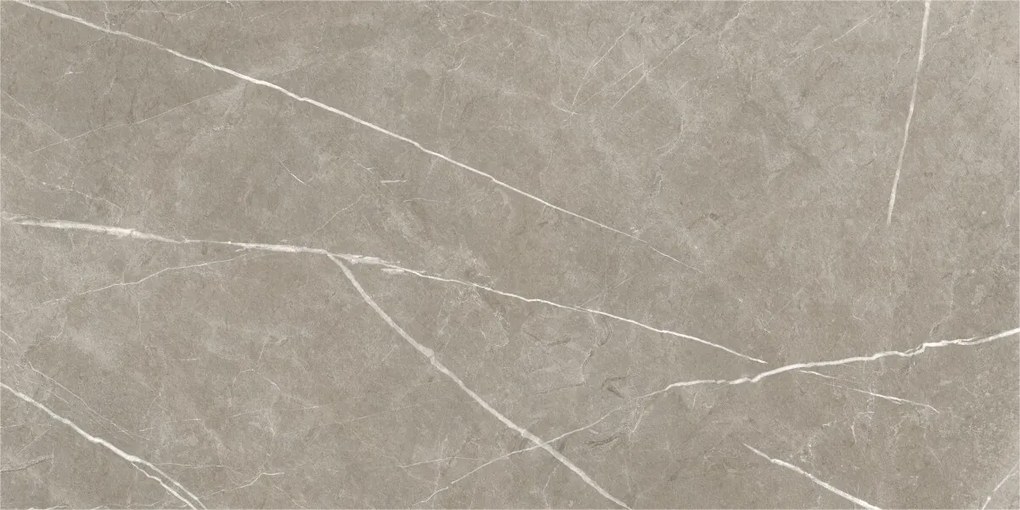 Dlažba Eternal Taupe Natural 60x120 R