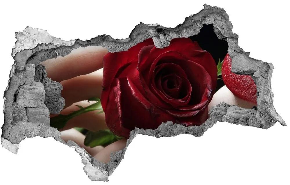 Fotoobraz diera na stenu Žena s ruží nd-b-6668624