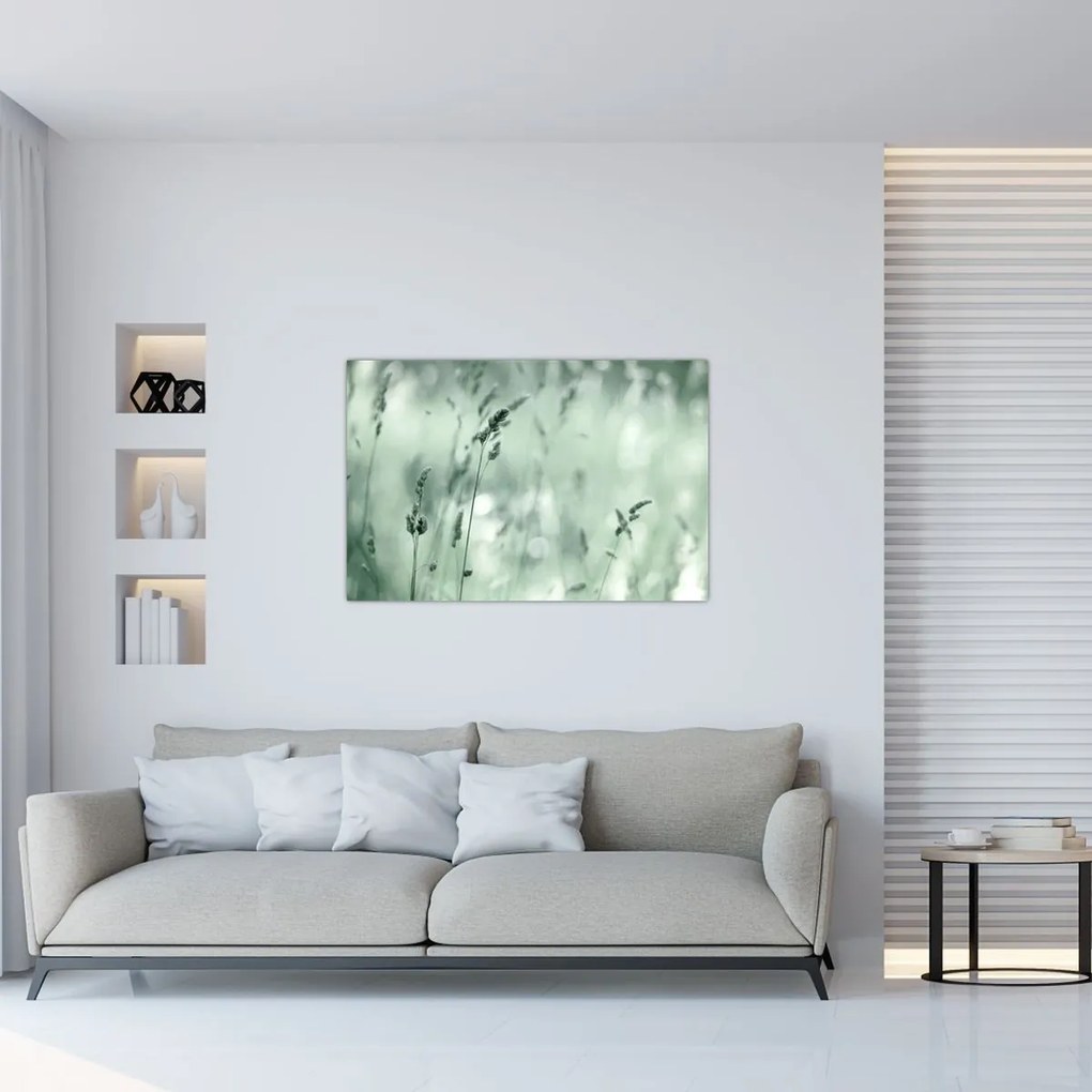 Obraz - Zelená lúka (90x60 cm)
