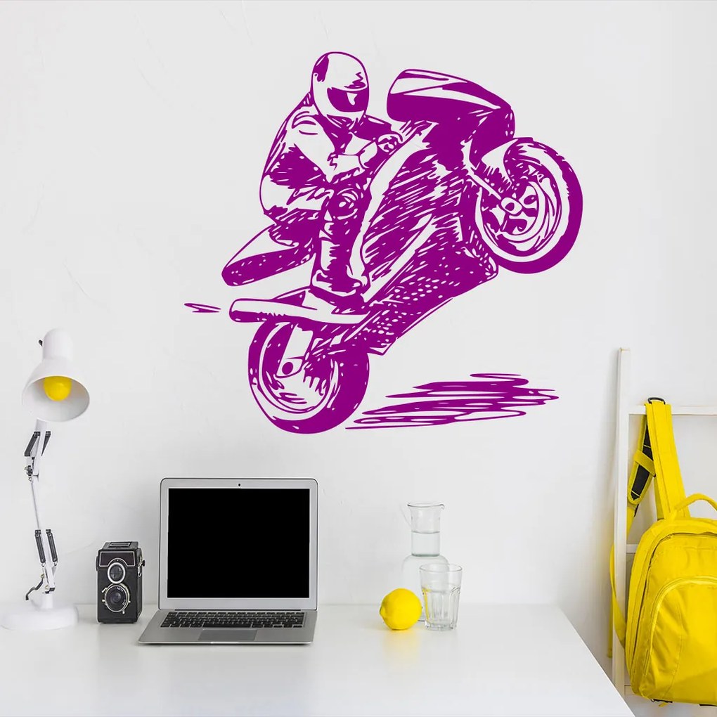 Veselá Stena Samolepka Kreslený motorkár Farba: růžová, Veľkosť: 80 x 77 cm