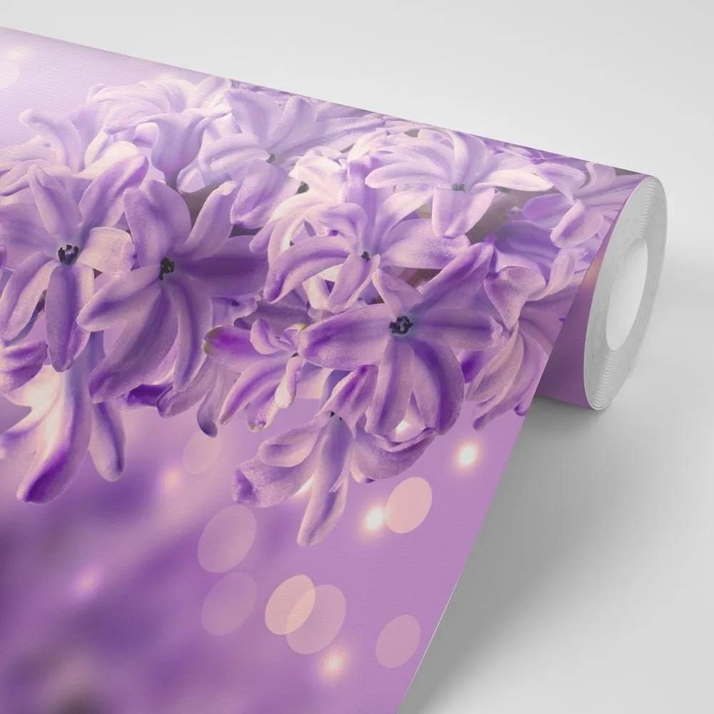 Samolepiaca tapeta fialový kvet orgovánu - 150x100