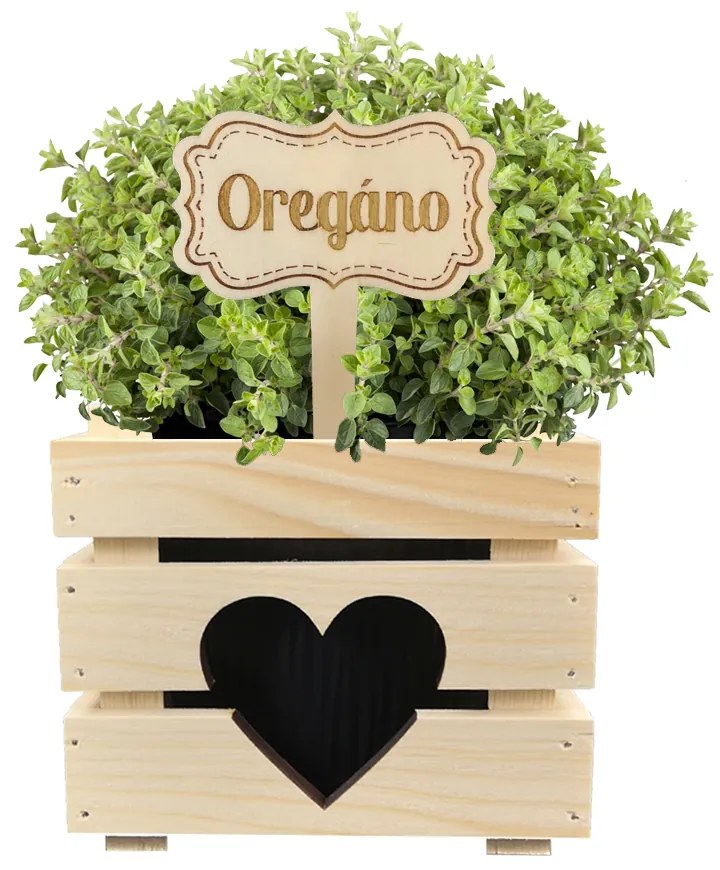 AMADEA Drevený zápich - ceduľka na bylinky Oregano, výška 20 cm, český výrobok