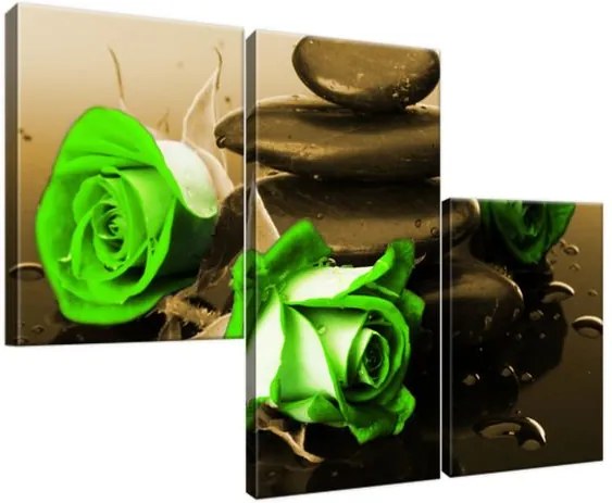 Obraz na plátne Zelené ruže a kamene 90x60cm 1423A_3L