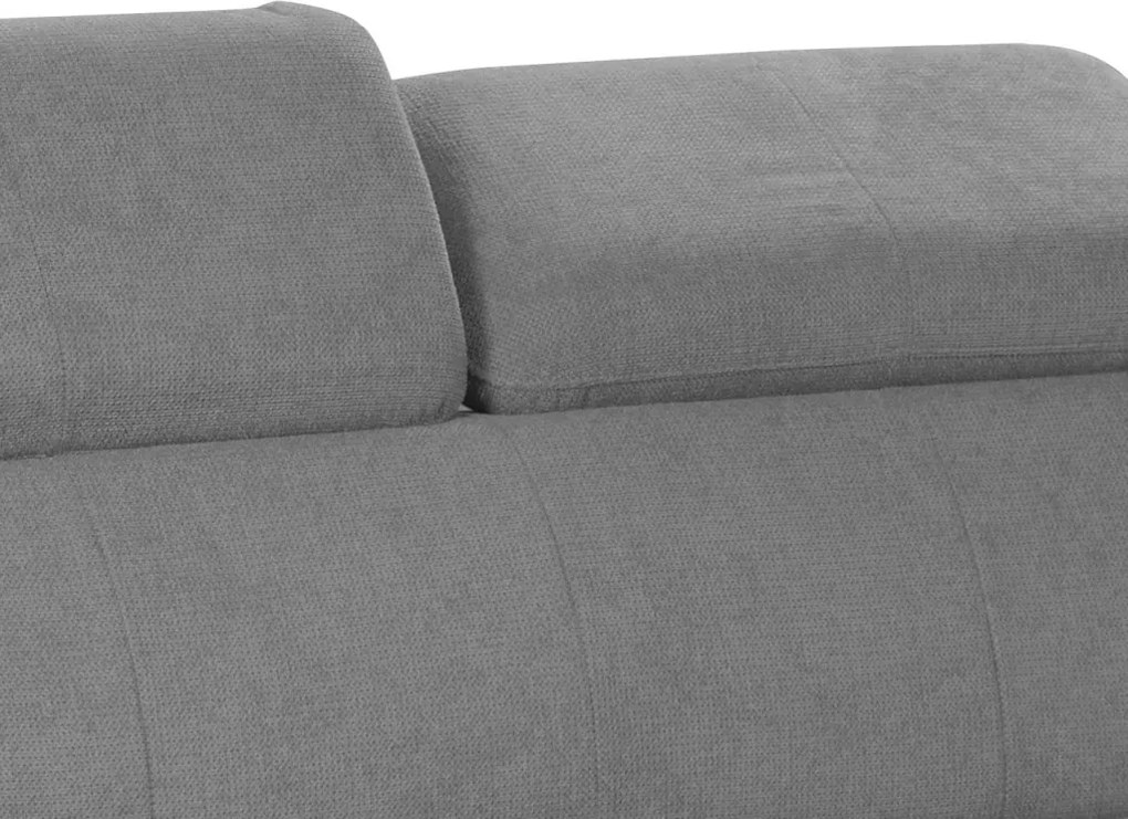 Dvojsedák Gisele, stredne šedá