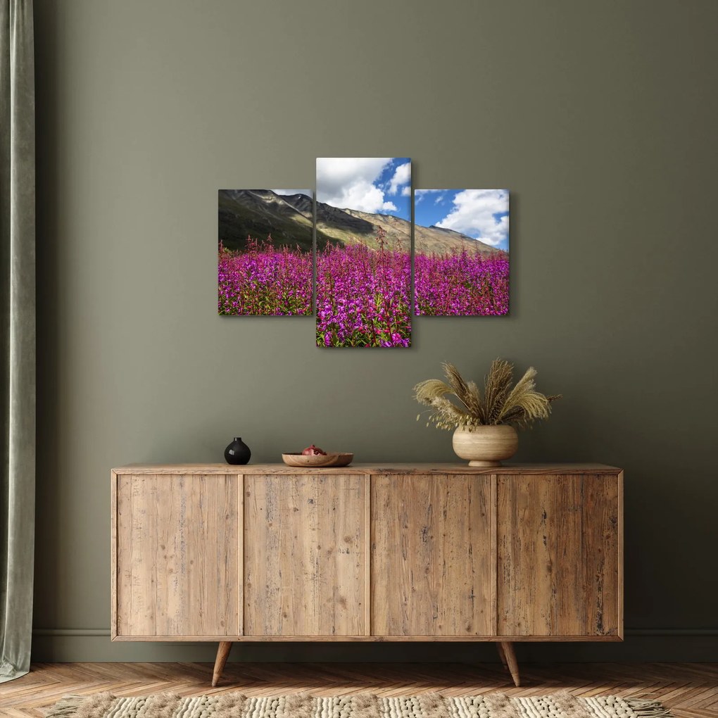 Obraz scenérie horské lúky (90x60 cm)