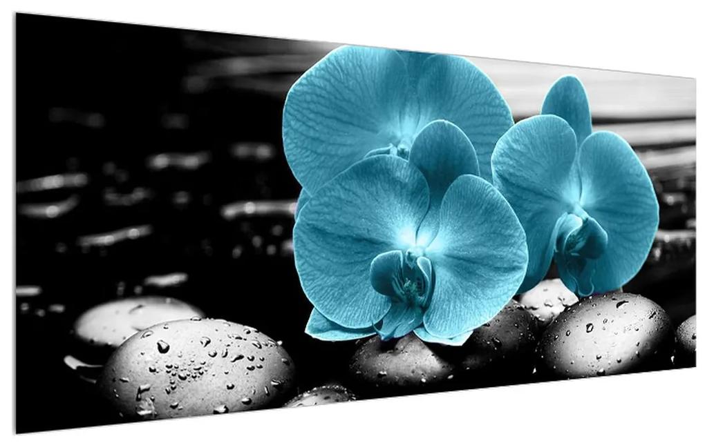 Obraz modrých kvetov orchidee (120x50 cm)