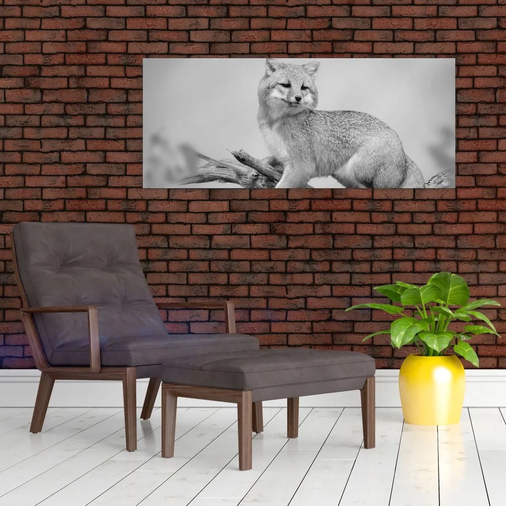 Obraz - Líška šedá (120x50 cm)