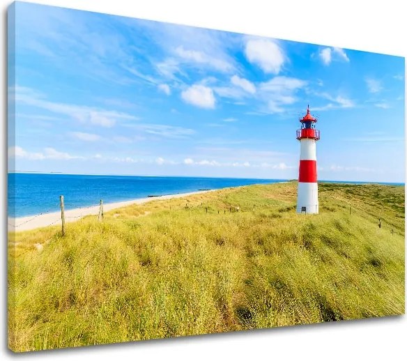 Obraz na stenu LÚKA_052-11