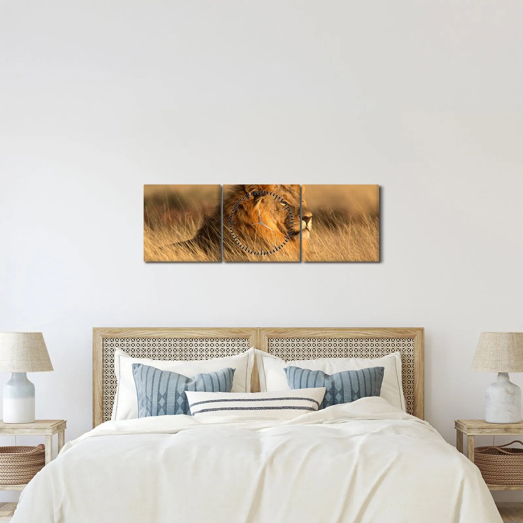 Obraz - Národný park Etosha (s hodinami) (90x30 cm)