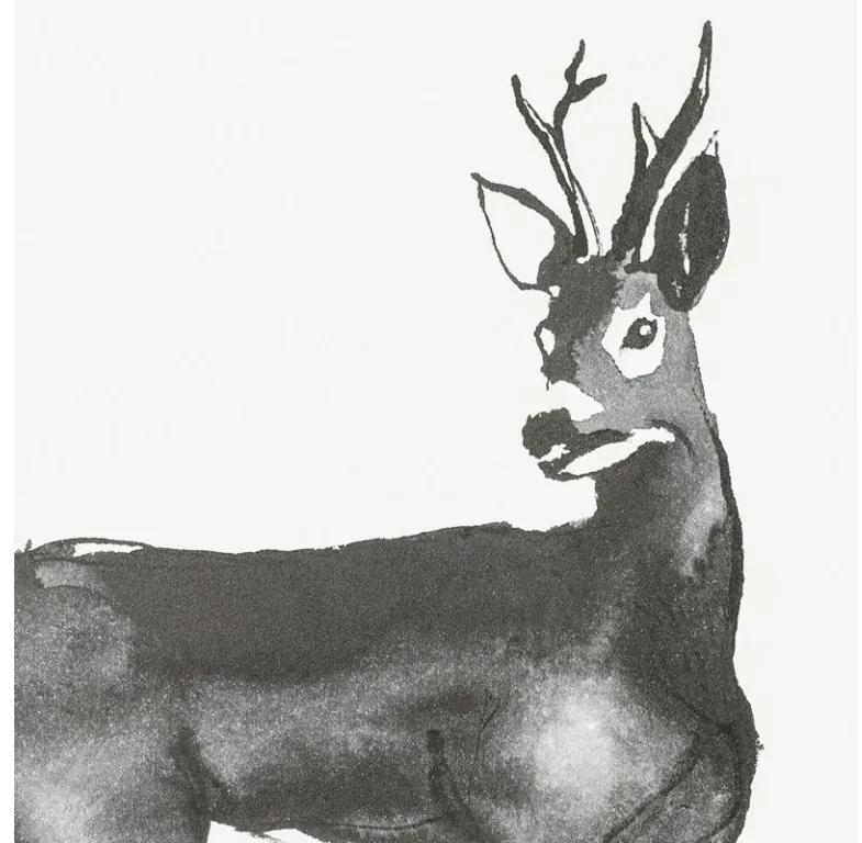 Teemu Järvi Plagát s motívom srnca Roe Deer 50x70