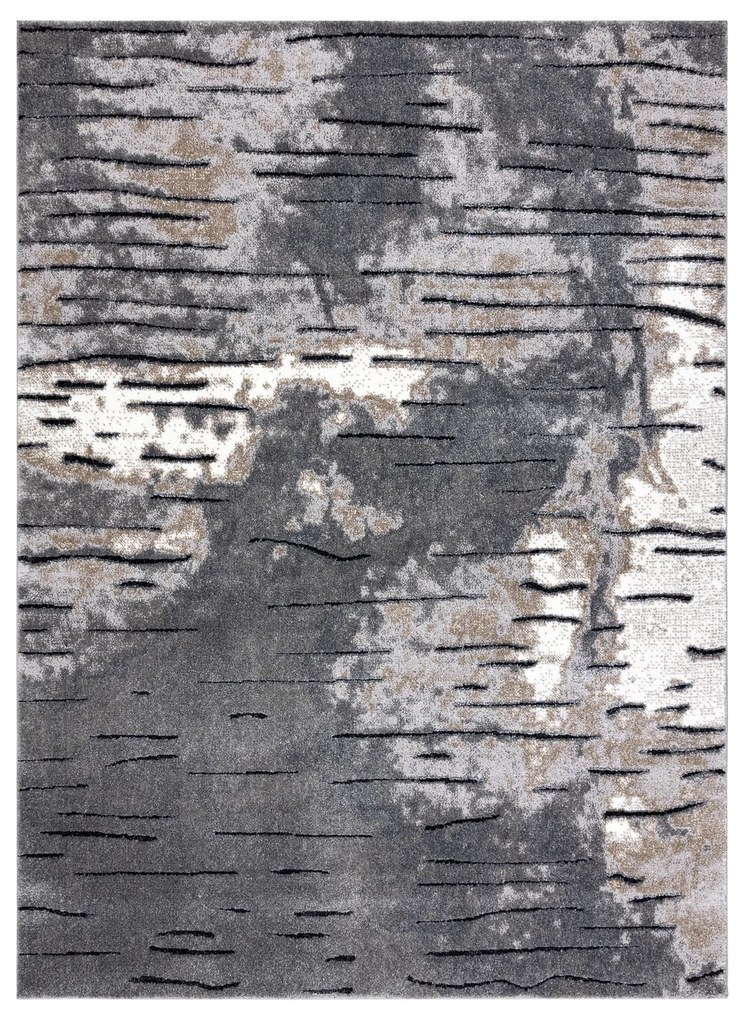 Moderný koberec COZY 8876 Rio, sivý