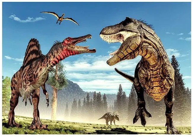 Fototapeta - Fighting Dinosaurs Veľkosť: 100x70, Verzia: Standard