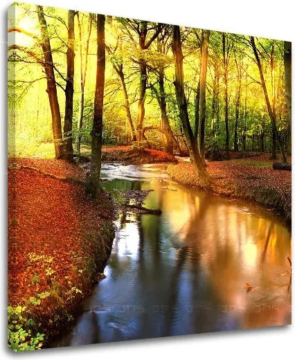 Obraz na stenu STROMY