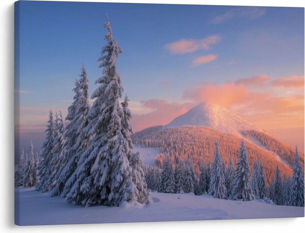 Obraz - Zimná krajina (70x50 cm)