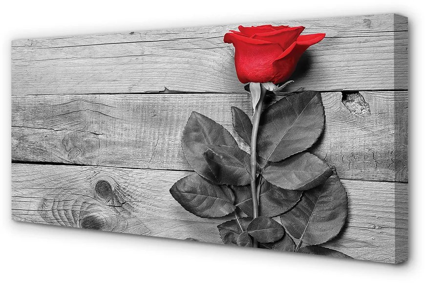 Obraz canvas Rose 120x60 cm
