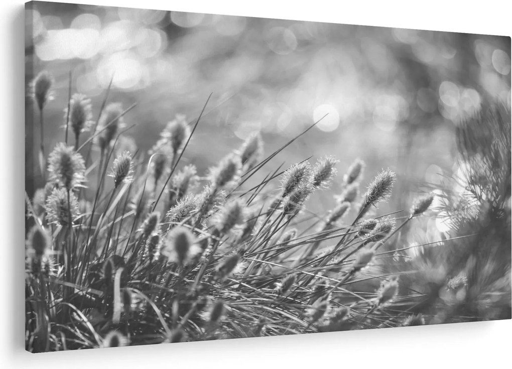 Obraz - Béžová soft grass N⁰1 (90x60 cm)