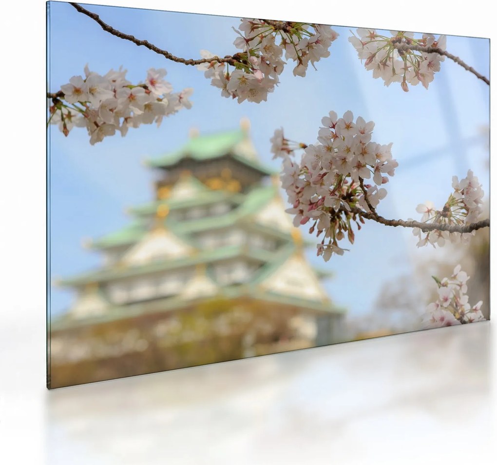 Sklenený obraz - Sakura (70x50 cm)