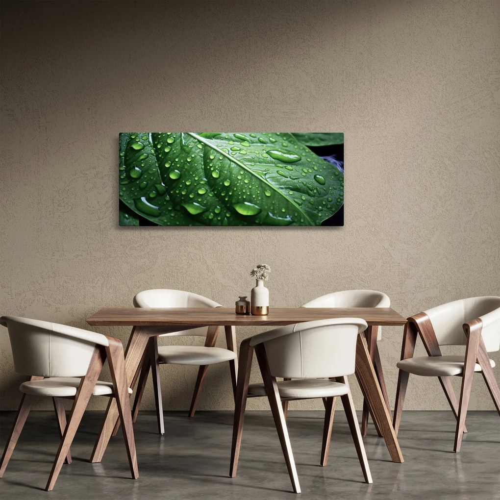 Obraz - Detail listu po daždi (120x50 cm)