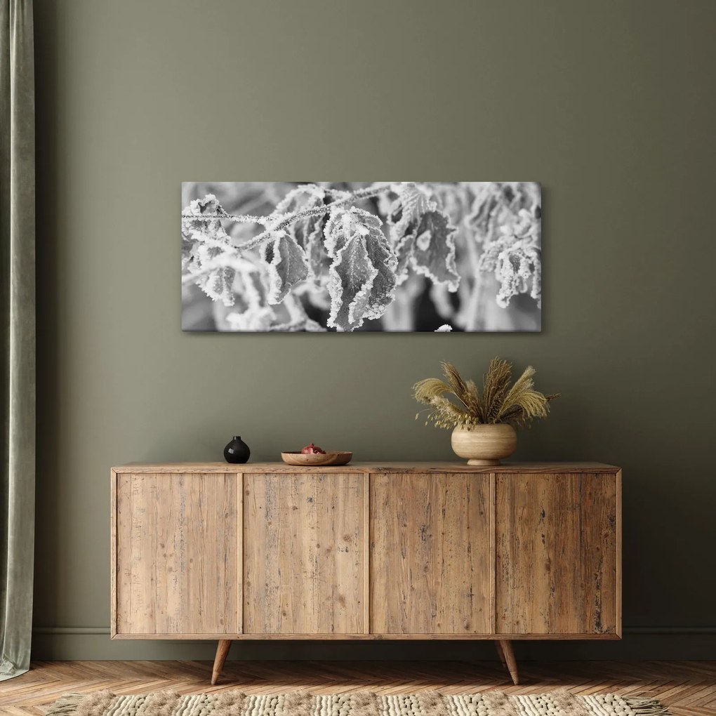 Obraz - Zmrznuté listy, čiernobiela (120x50 cm)
