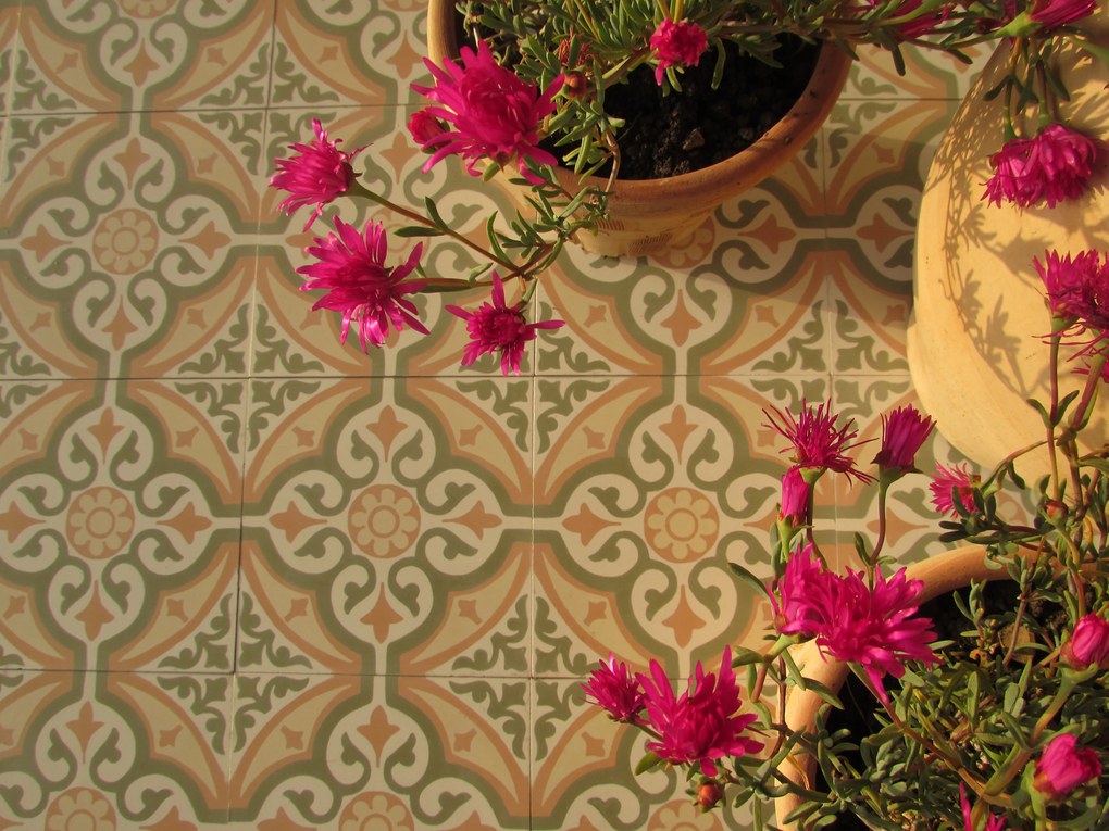 Cementové dlaždice 4805 | Articima