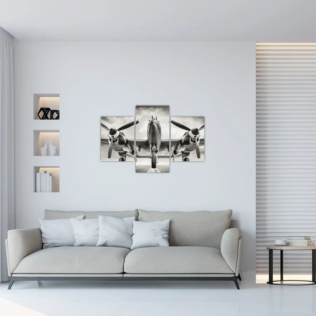 Obraz - Warbird (90x60 cm)
