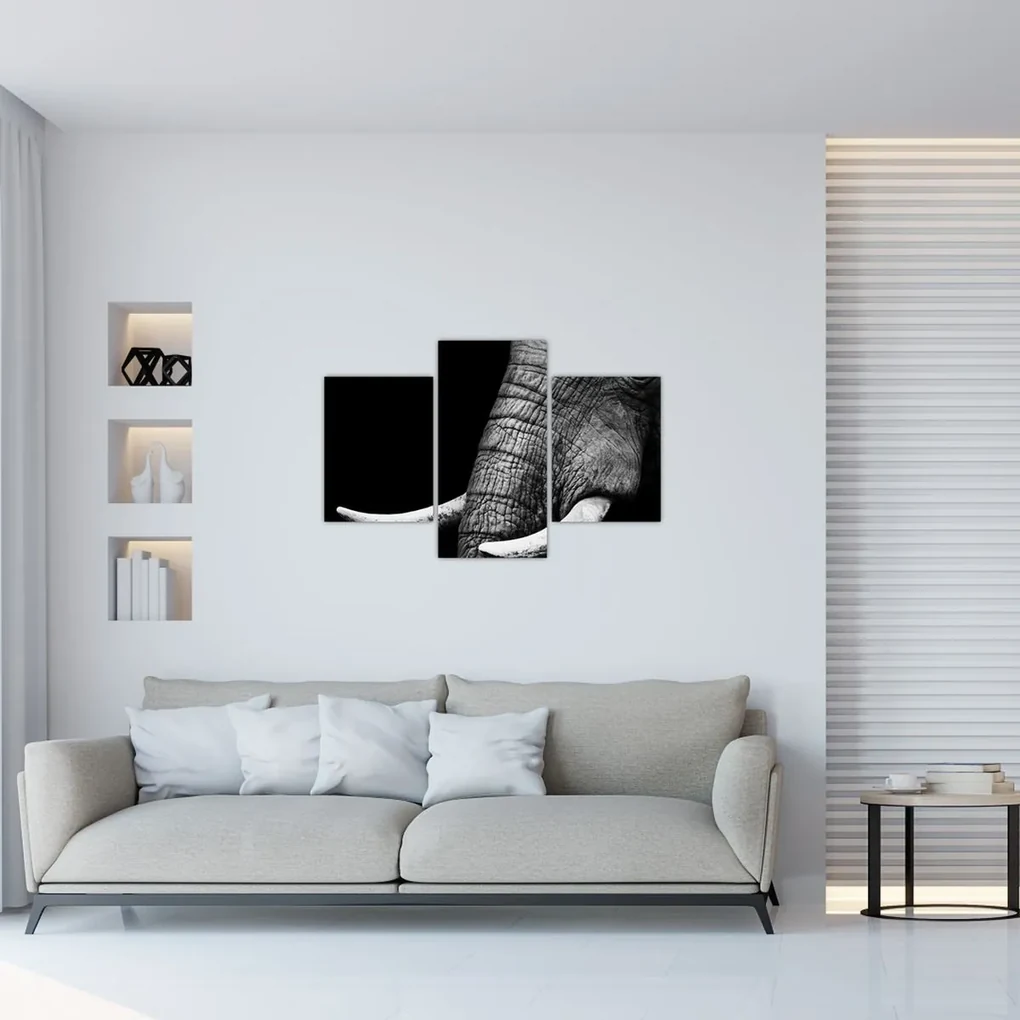 Obraz - Slonie kly (90x60 cm)