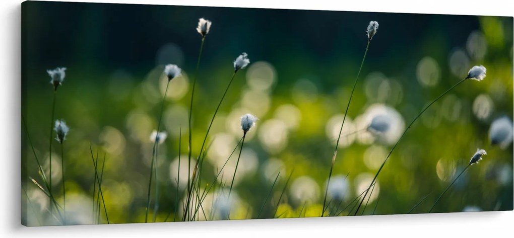 Obraz - Tráva (120x50 cm)
