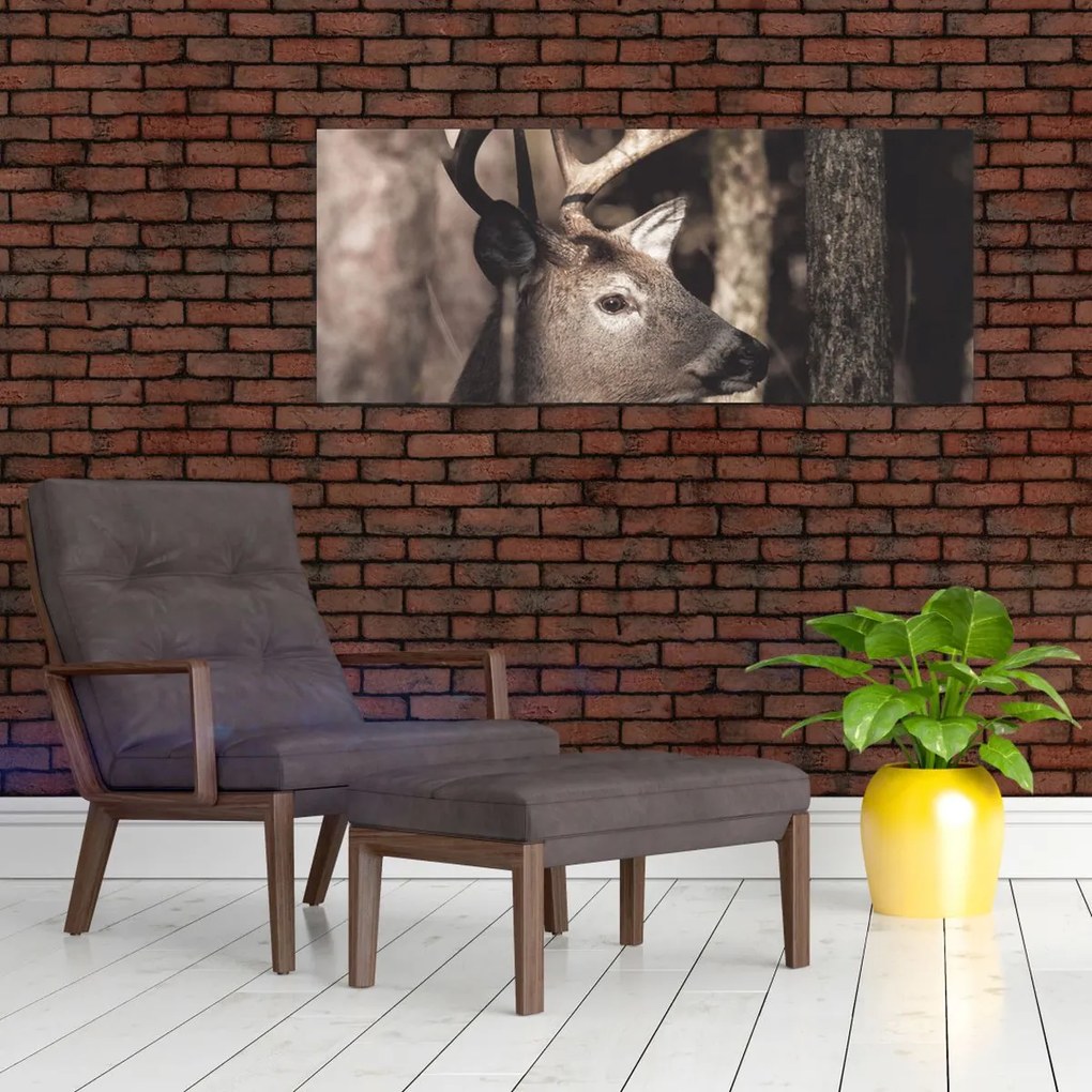 Obraz - Jeleň v lese (120x50 cm)