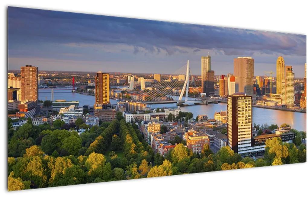 Obraz - Panorama Rotterdamu, Holandsko (120x50 cm)