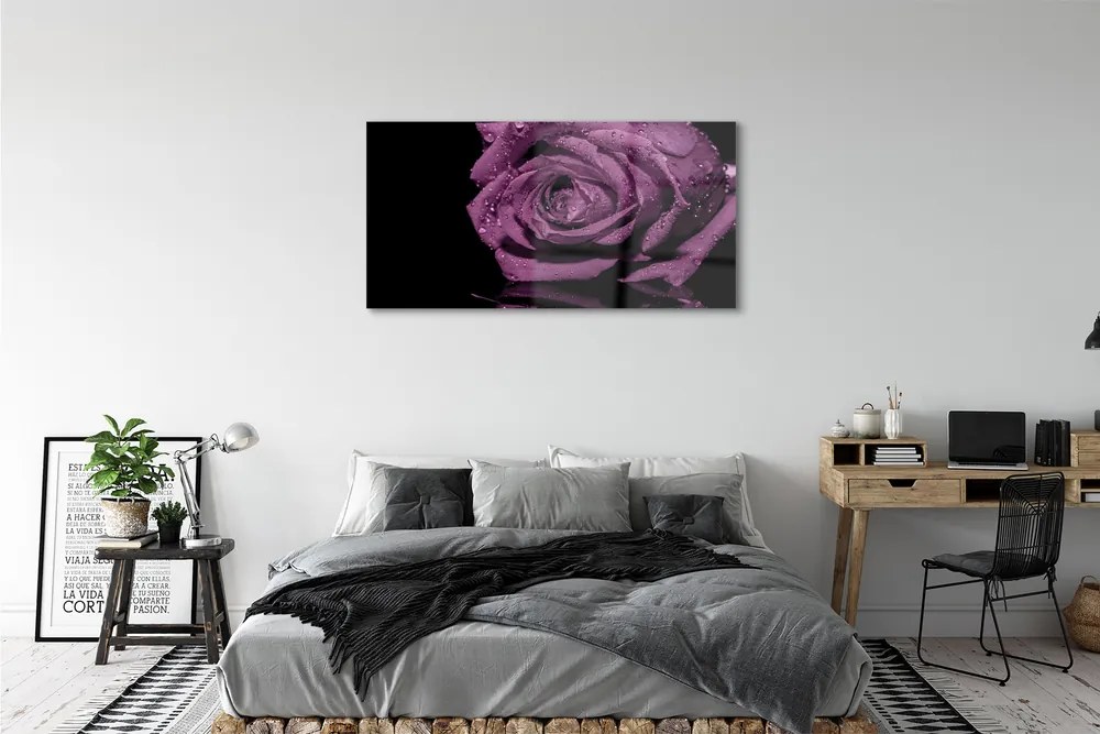 Obraz plexi Purpurová ruža 125x50 cm