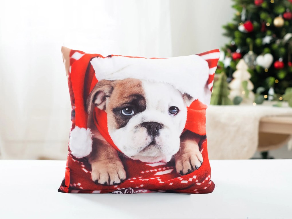 Vianočná obliečka na vankúš 40 × 40 cm - Buldog s červenou čiapočkou