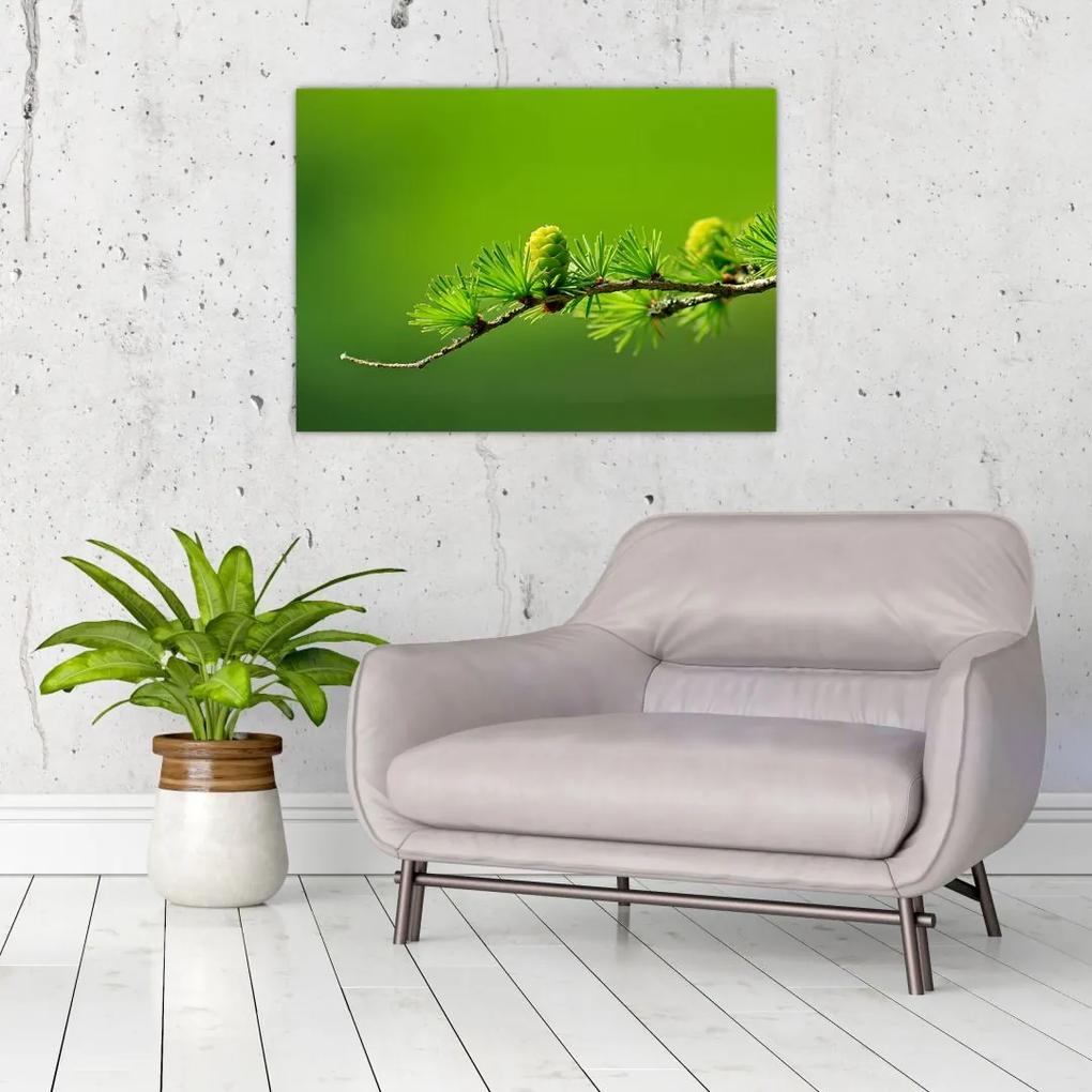 Sklenený obraz zelenej šišky (70x50 cm)
